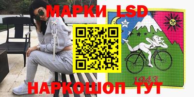 эйфоретик Кимры